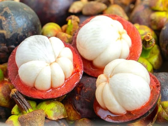 Măng cụt Lái Thiêu
