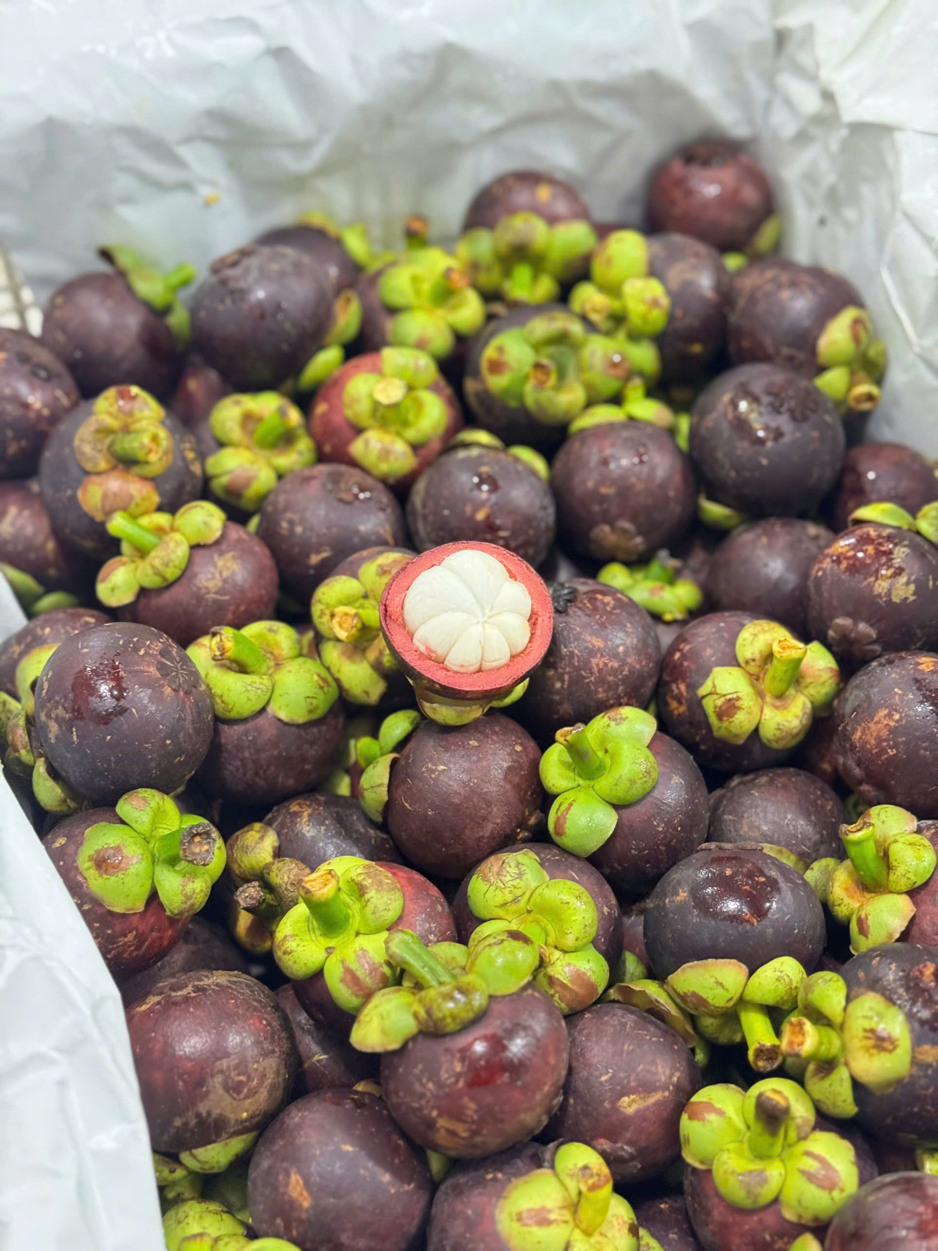 Bảng báo giá