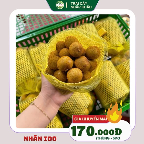 NHÃN THÁI INDO