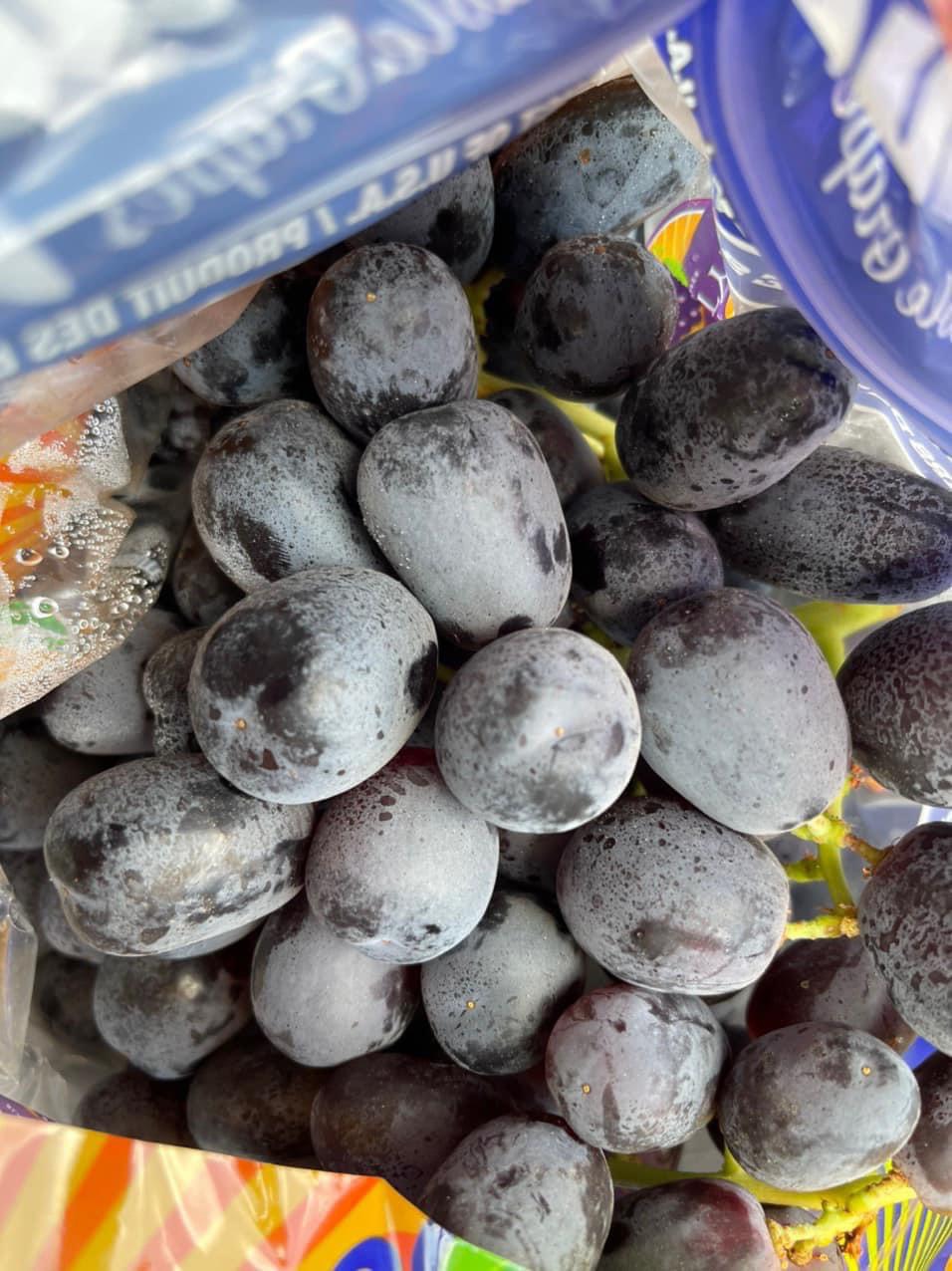 NHO ĐEN KHÔNG HẠT MỸ