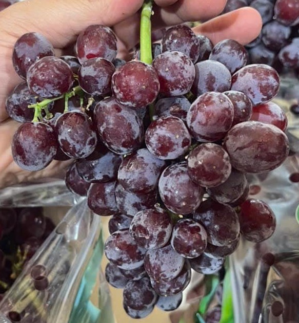 Nho Kẹo Peru