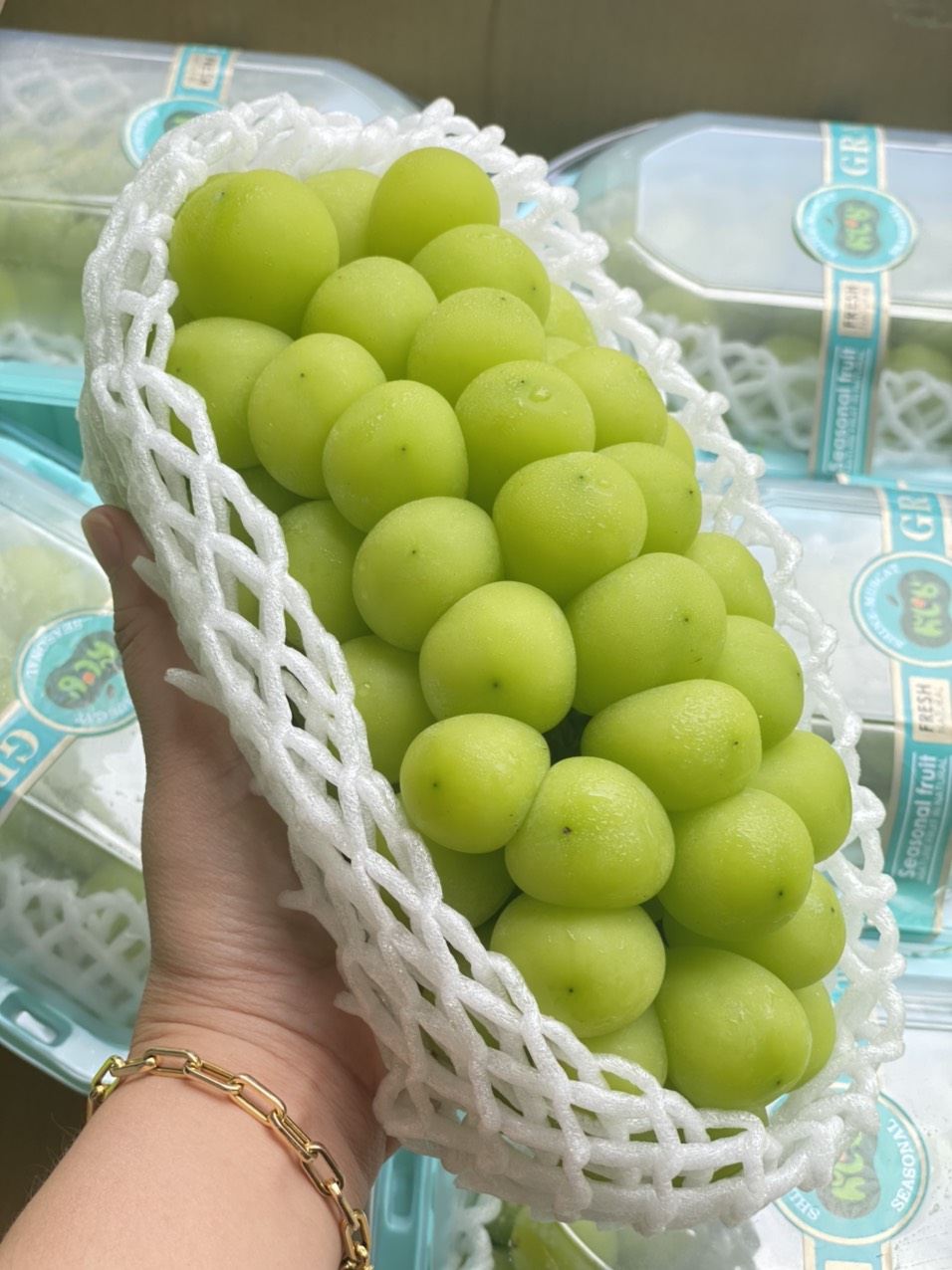 Nho mẫu đơn Đài Loan nhập khẩu