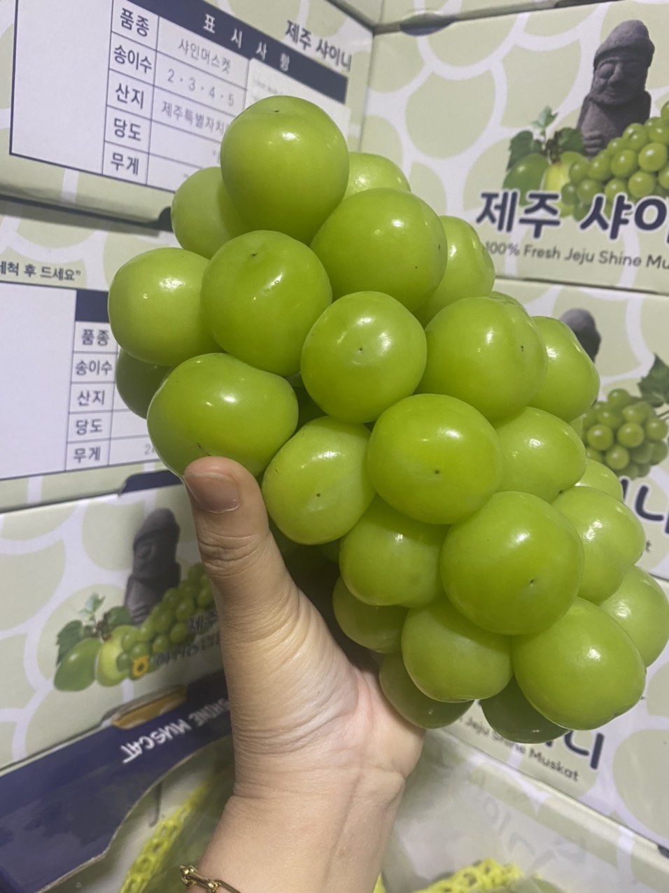 nho mẫu đơn Hàn Quốc