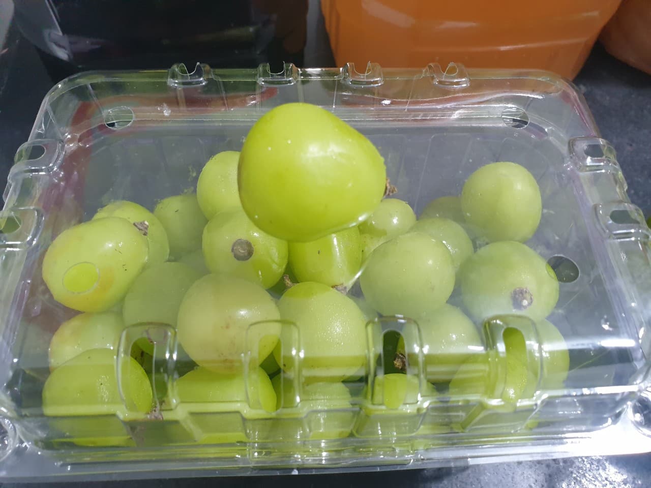 Bảng báo giá