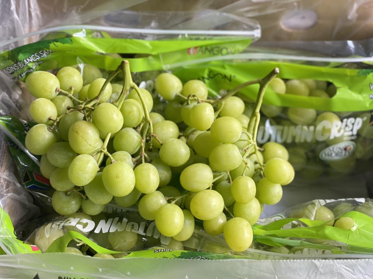 Nho xanh Nam Phi Autumn Crips Angon