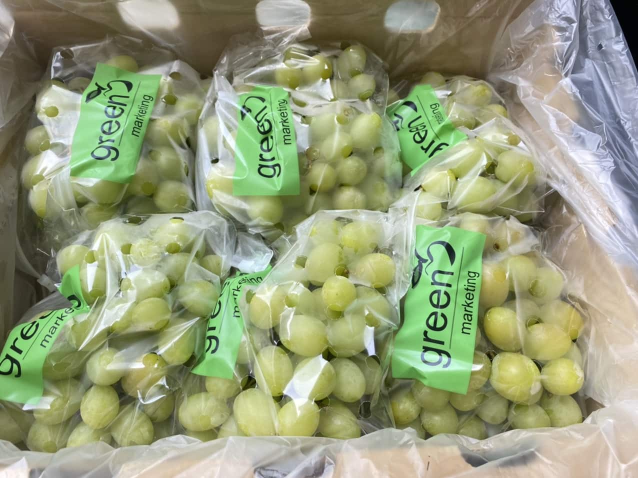 Nho Xanh Nam Phi Thùng 4,5 Kg