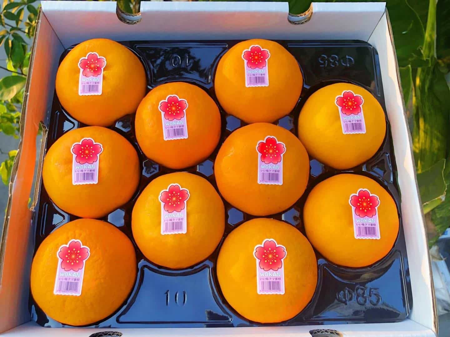 Quýt Nhật Bản Wokan - Hộp 2 kg