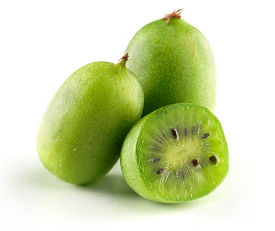 Kiwi Berry