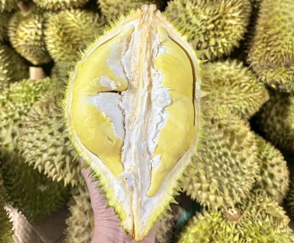 Sầu riêng Thái Monthong loại 1