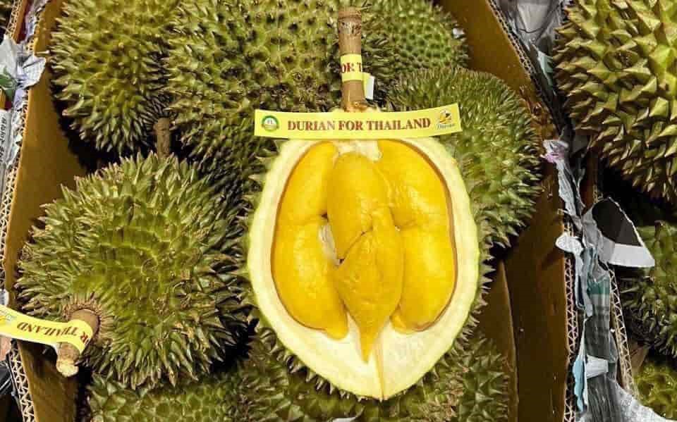Bảng báo giá