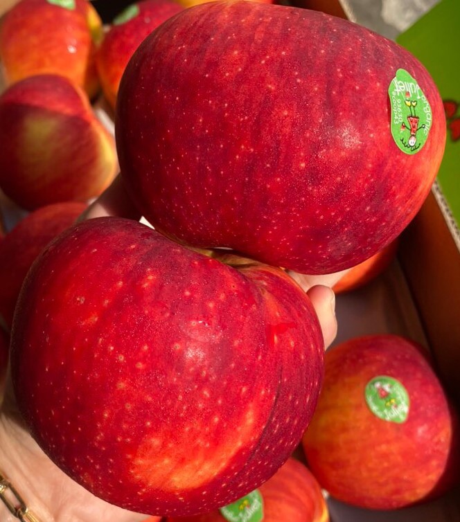 Táo Juliet Organic Pháp