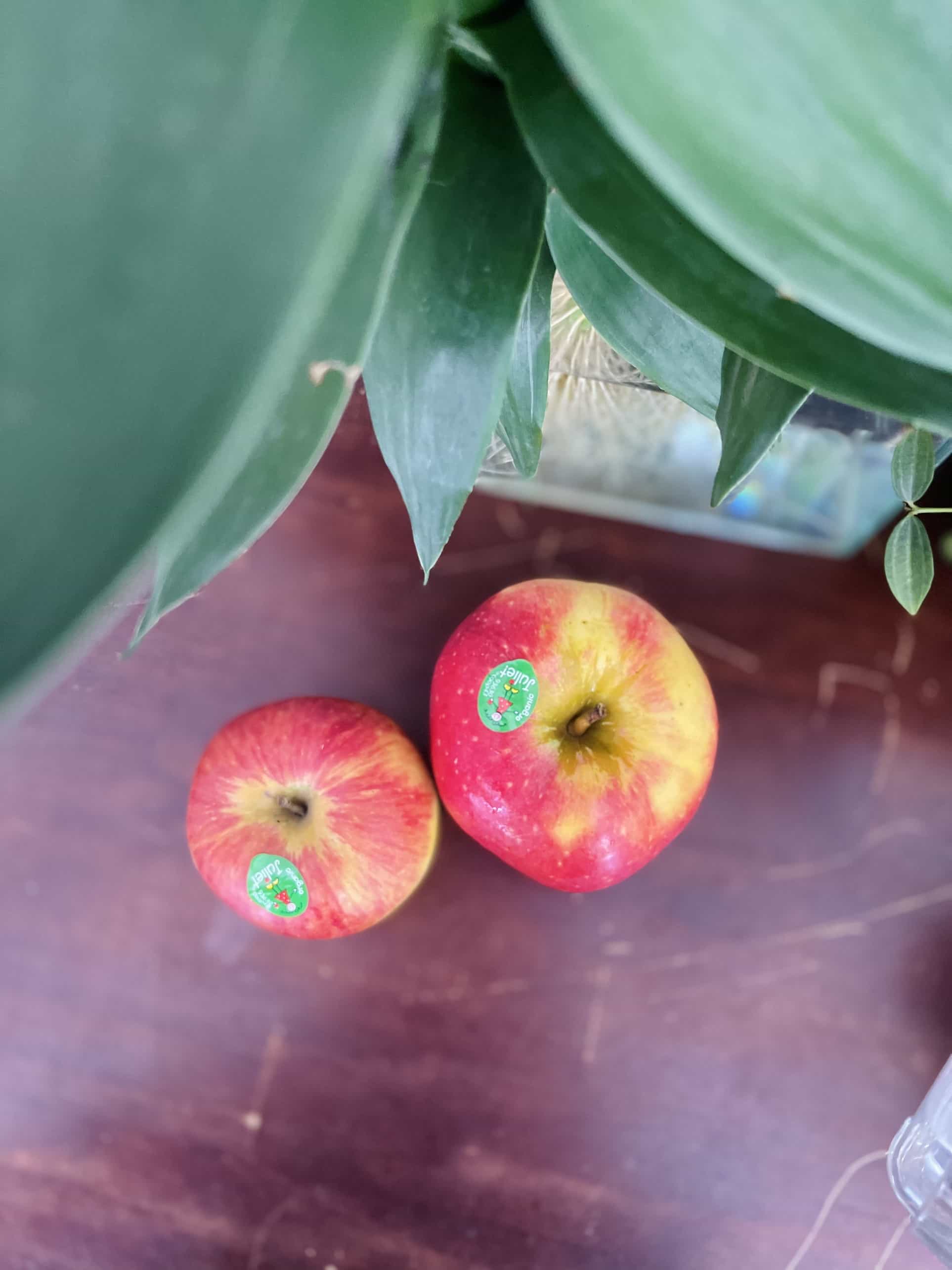 Táo Julliet Pháp Size VIP Sale