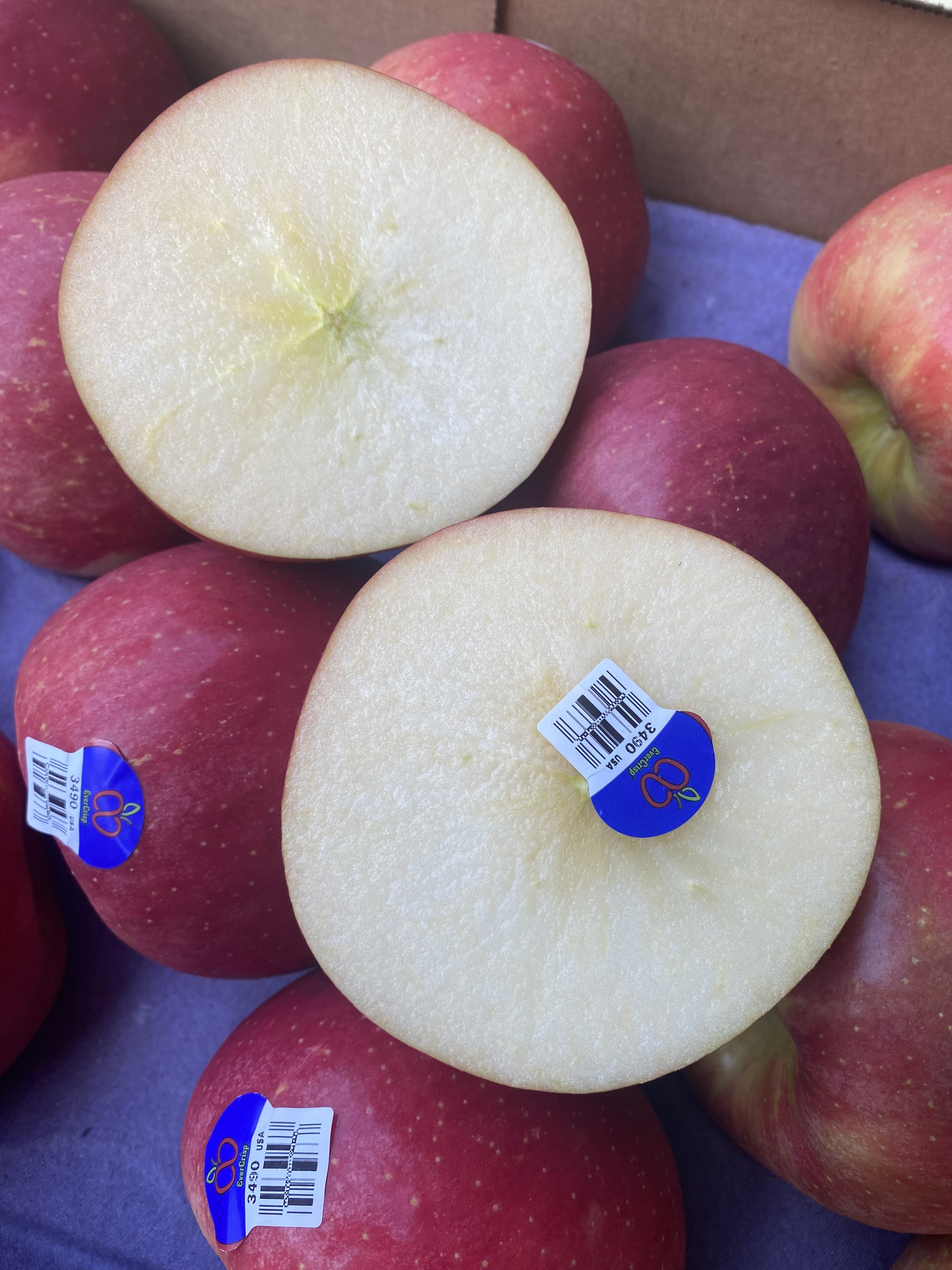 táo mật Ever Crisp