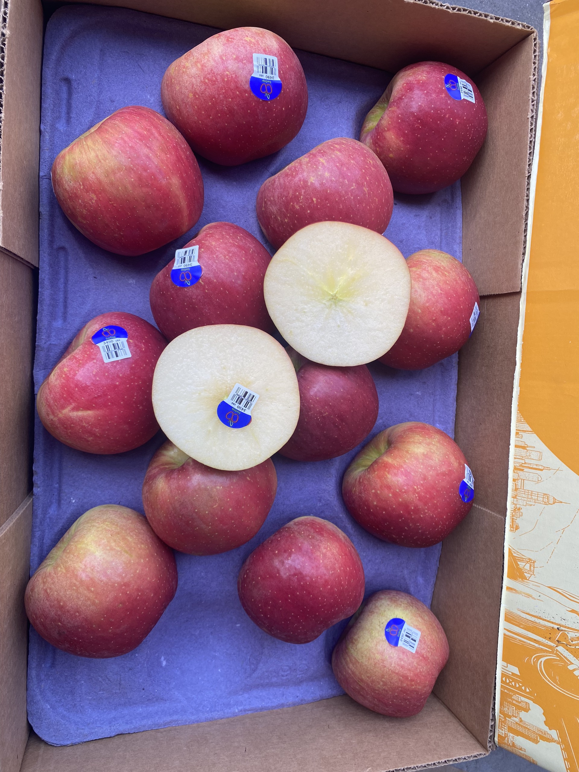 Táo mật Ever Crisp nhập khẩu