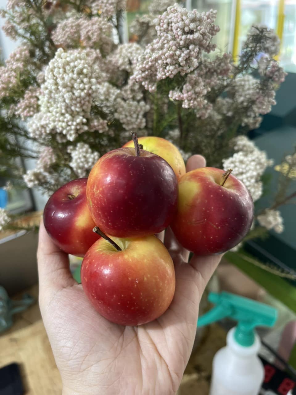 Táo Rockit Xá Lẻ 1kg