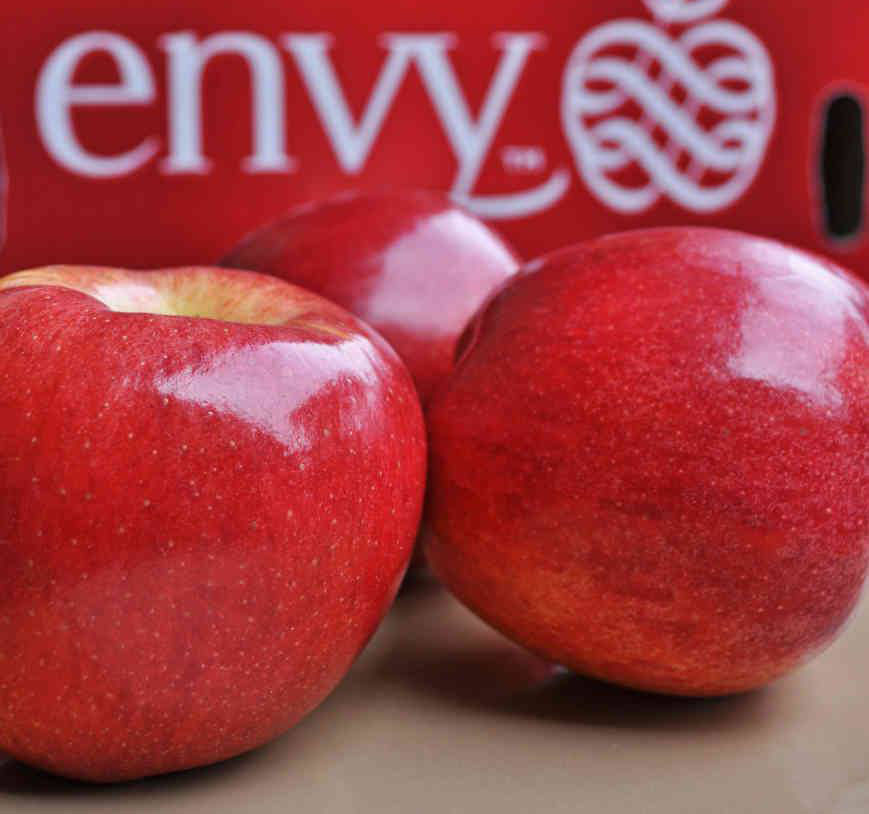 Táo envy size 88/thùng 18kg
