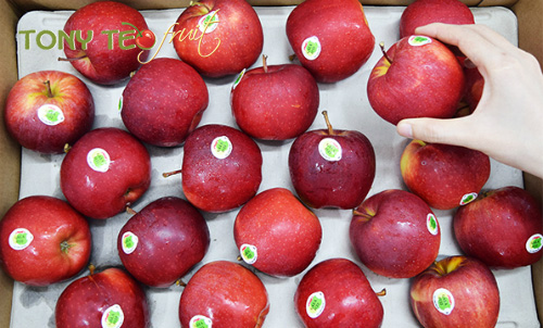 TÁO GALA MỸ SIZE 100
