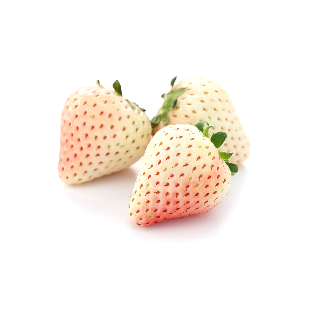 Dâu Bạch Tuyết Hàn Quốc