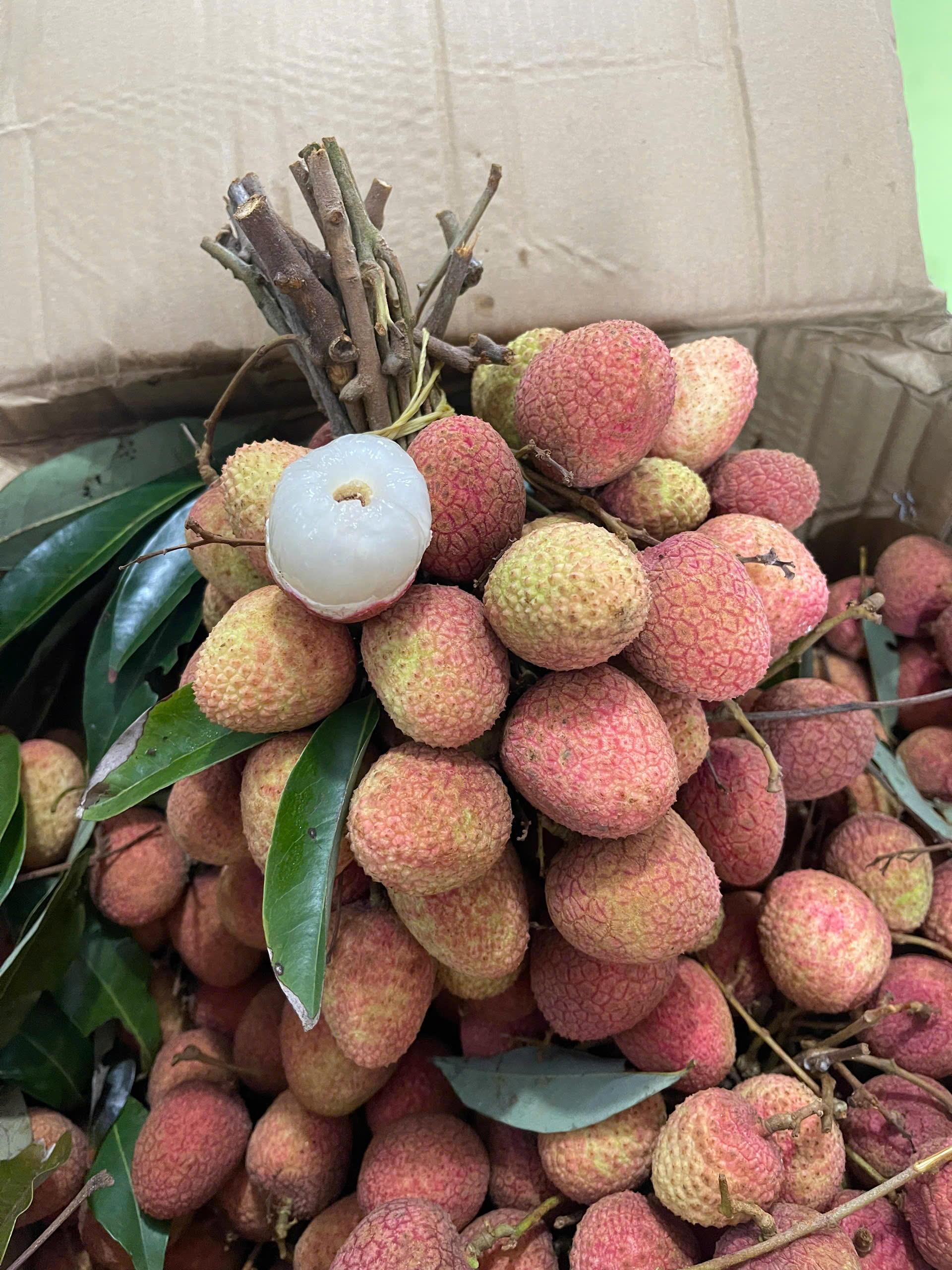 Bảng báo giá