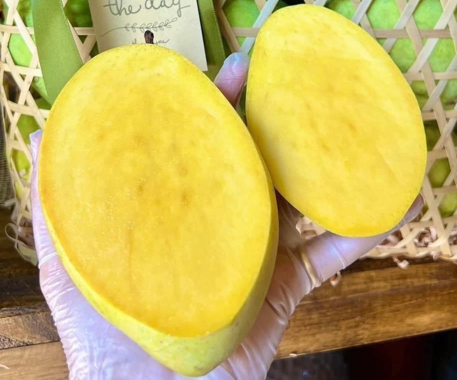 Xoài cát Hòa Lộc loại VIP